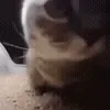 🥳