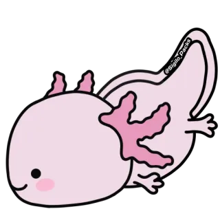 😊 ajolote, rosa, animal, lindo, salamandra whatsapp sticker