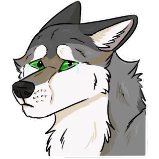 😢 lobo, triste, llorando, animal, furry, lágrimas, ojos verdes whatsapp sticker