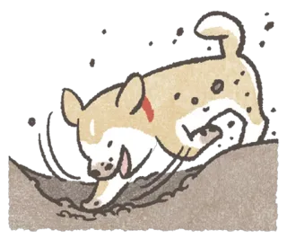 😐 cão, cachorro, cavando, areia, fofo, animal whatsapp sticker