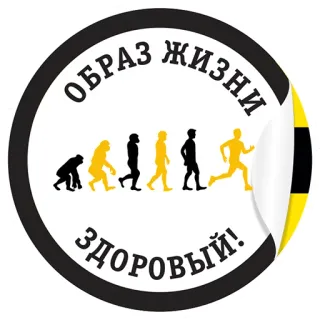 💪 ОБРАЗ ЖИЗНИ
ЗДОРОВЫЙ! Evolution, Gesundheit, Lifestyle, Fitness, Laufen, Gesunder Lebensstil whatsapp sticker