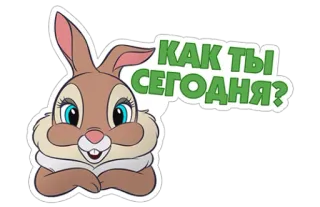 😜 КАК ТЫ СЕГОДНЯ? กระต่ายการ์ตูน, ข้อความรัสเซีย, คำถาม, ตัวการ์ตูน telegram sticker