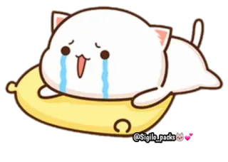 😭 kot, płacz, smutny, poduszka, słodki, zwierzę, kreskówka whatsapp sticker