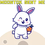 月兔 Moontok @Moontok_group whatsapp stickers