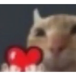 ❤️ ARGH LOVE cat, love, animal, heart whatsapp sticker