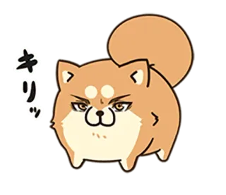 🐶 キリッ Hund, Tier, Shiba Inu, niedlich, Ausdruck, japanisch telegram sticker