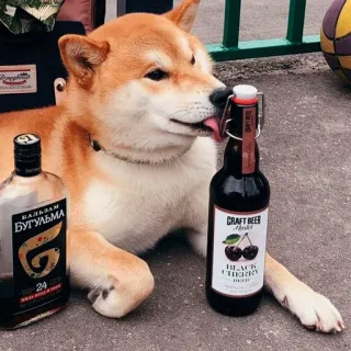 🍺 БАЛЬЗАМА dog, alcohol, beer, bottle, cherry telegram sticker