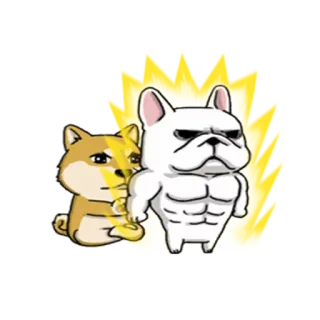 💪 hond, shiba inu, franse bulldog, spier, grappig, meme, cartoon, huisdier telegram sticker