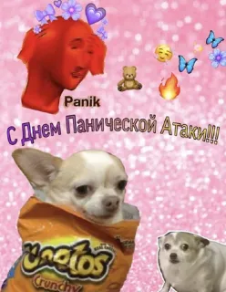 😫 Panik
С днем Панической Атаки!!! dog, panic, russian, text, funny, meme telegram sticker