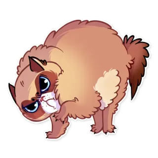 😠 gato, animal, fofo, desenho animado, rabugento whatsapp sticker