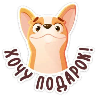🎁 ХОЧУ ПОДАРОК! corgi, cachorro, fofo, presente, russo, quero presente whatsapp sticker
