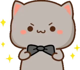 😝 cat, cute, bow tie, sparkle, angry whatsapp sticker