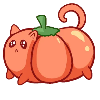 🥺 chat, citrouille, mignon, Halloween, animal telegram sticker