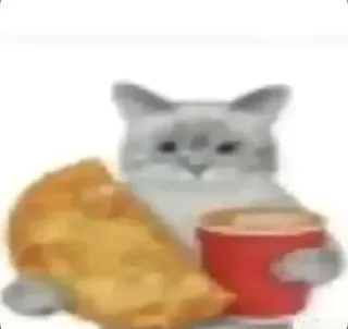 😋 chat, mème, nourriture, boisson, mignon, animal telegram sticker