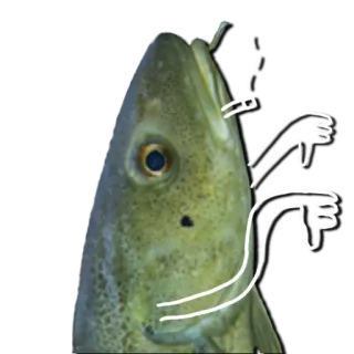 👎 fish, thumbs down, negative, meme, dislike, sea creature whatsapp sticker