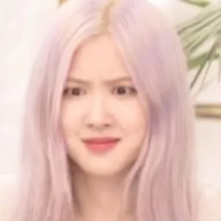 🐹 Rose Rose, K-pop, Blackpink, singer, celebrity, meme, funny, expression telegram sticker