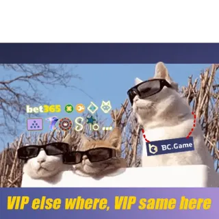 🏆 VIP else where, VIP same here gatos, gafas de sol, VIP, BC.Game, bet365, casino telegram sticker