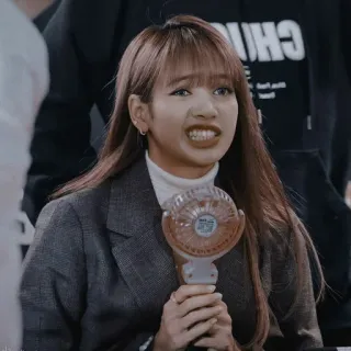 🙄 Lisa kpop, lisa, blackpink, fan, idole, meme telegram sticker