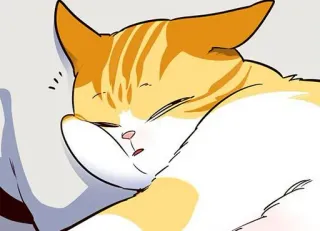 🐈 gato, durmiendo, animal, dibujos animados, animal doméstico telegram sticker