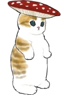 🍄 gato, animal, cogumelo, fofo, gatinho telegram sticker