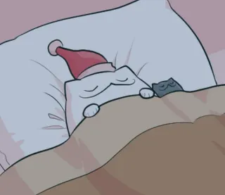 🐱 gato, dormindo, fofo, animal, travesseiro, cobertor, desenho animado telegram sticker