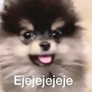 — Yeontan Meme telegram stickers