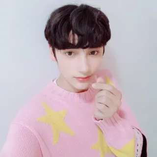 ❤️ kpop, idol, ritratto, cuore con le dita, rosa, stella telegram sticker