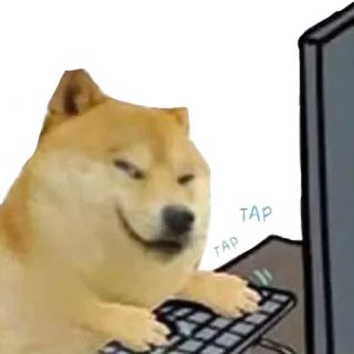 ⌨️ Doge doge, pies, mem, internet, pisanie, komputer, klawiatura telegram sticker