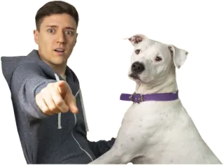 👉 homem, cão, apontando, amigo, animal de estimação, coleira whatsapp sticker