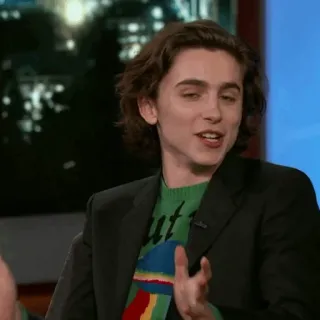 🥀 Timothée Chalamet diễn viên, người nổi tiếng, chân dung, đàn ông, áo len telegram sticker