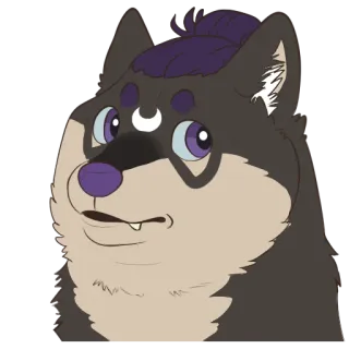 👀 perro, peludo, dibujo animado, meme, animal telegram sticker