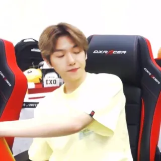 🍯 EXO человек, kpop, мужчина, baekhyun, айдол, певец, exo telegram sticker