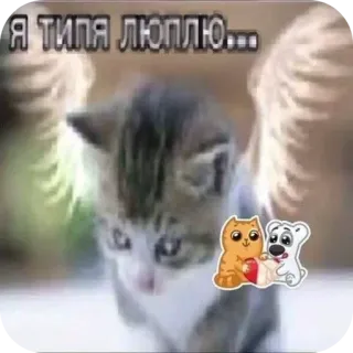 🐱 Я ТИПА ЛЮПЛЮ... 猫, 小猫, 天使, 动物, 可爱 telegram sticker