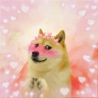 🙂 doge doge, chó, meme, dễ thương, trái tim, kawaii telegram sticker