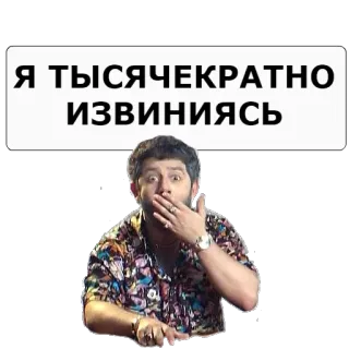 🙊 Я ТЫСЯЧЕКРАТНО ИЗВИНЯЮСЬ telegram sticker