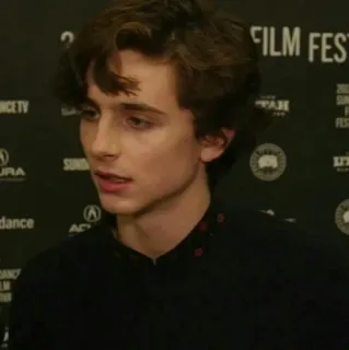 🌸 Timothée Chalamet diễn viên, người nổi tiếng, phim, điện ảnh, chân dung telegram sticker