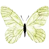 🦋