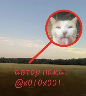 стикерсы алекса хитсаа :: @fStikBot whatsapp stickers