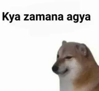 🥲 Cheems Doge meme Kya zamana agya telegram sticker