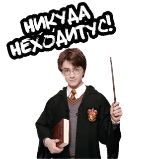 🏚 Harry Potter НИКУДА НЕХОДИТУС! ハリー・ポッター, 魔法, 魔法使い, ファンタジー, 本, ロシア telegram sticker