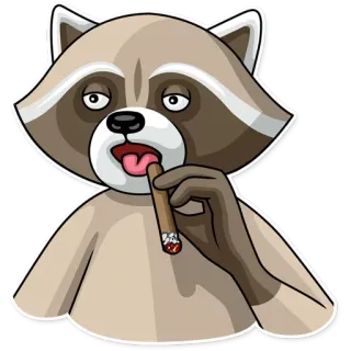 😦 szop pracz, cygaro, kreskówka, palenie, zwierzę, śmieszne, słodkie telegram sticker