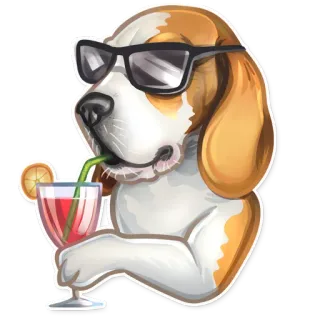 😎 cane, occhiali da sole, cocktail, bevanda, figo, animale, beagle, divertente telegram sticker