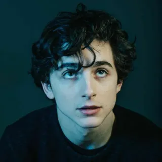 🦇 Timothée Chalamet actor, famoso, retrato, guapo, hombre telegram sticker