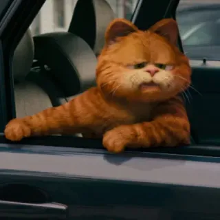 🤣 Garfield cat, orange cat, Garfield, cartoon cat, pet, animal telegram sticker