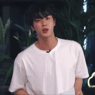 🐹 Jin kpop, sänger, asiatisch, portrait, promi, männlich, mann telegram sticker