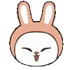 🐰