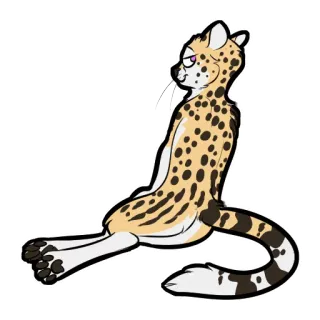 😽 serval, antro, gato, felino, sentado, desenho animado telegram sticker