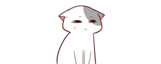 🥺 gato, fofo, animal, animal de estimação, adesivo, desenho animado telegram sticker