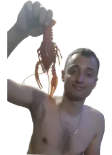 🙃 homem, lagostim, comida, frutos do mar, lagosta telegram sticker