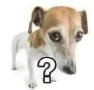 ❓ ? perro, signo de interrogación, confundido, animal, mascota, curioso telegram sticker